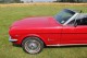 Ford Mustang cabriolet 1966
