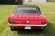 Ford Mustang cabriolet 1966