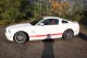 Mustang GT-S 5.0 Premium Modèle 2013